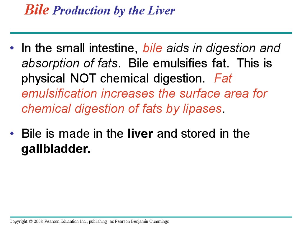 Bile Production by the Liver In the small intestine, bile aids in digestion and